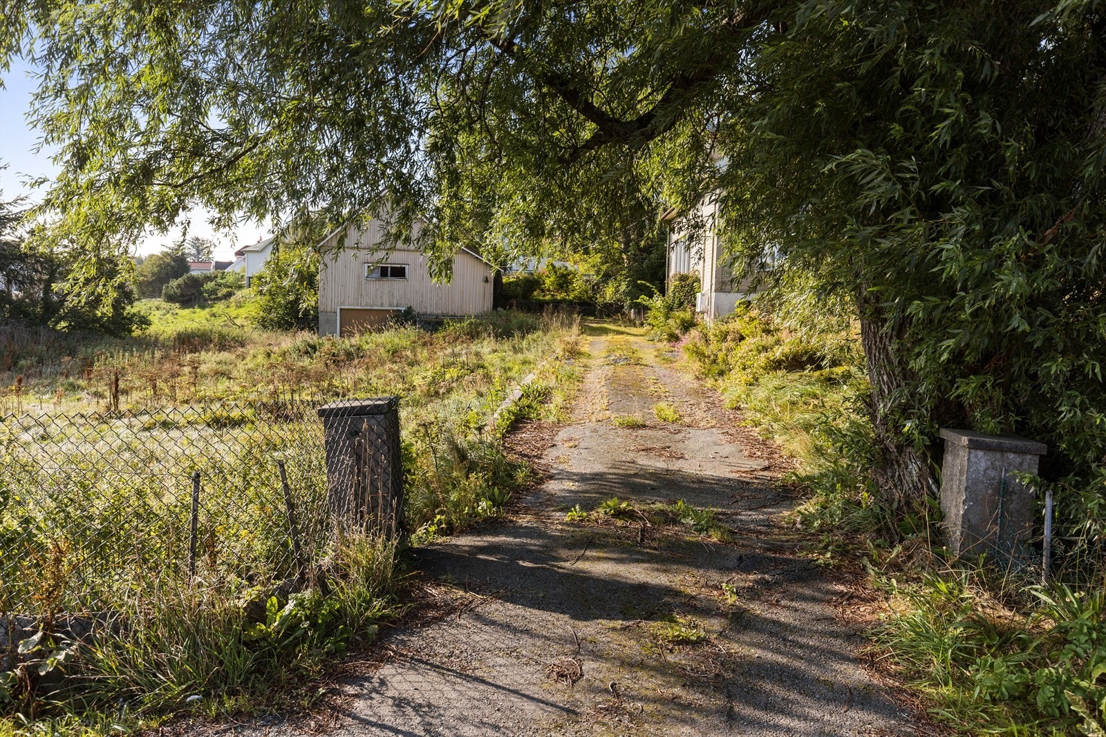 Nærområde Galleribilde