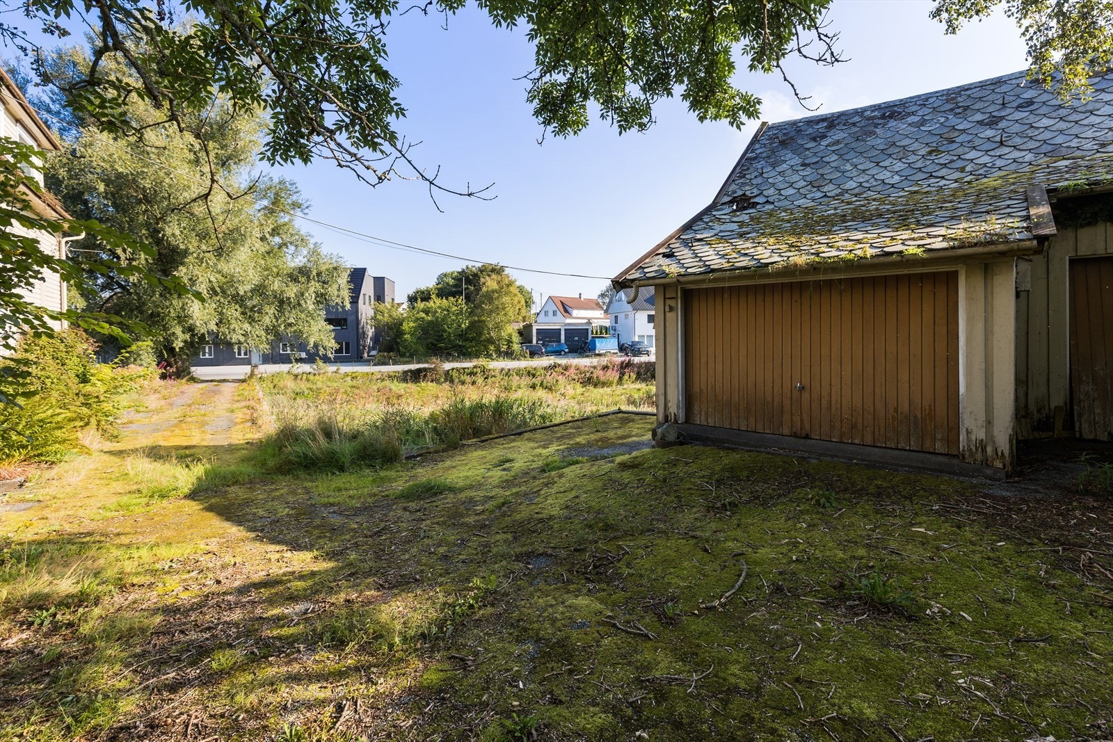 Nærområde Galleribilde