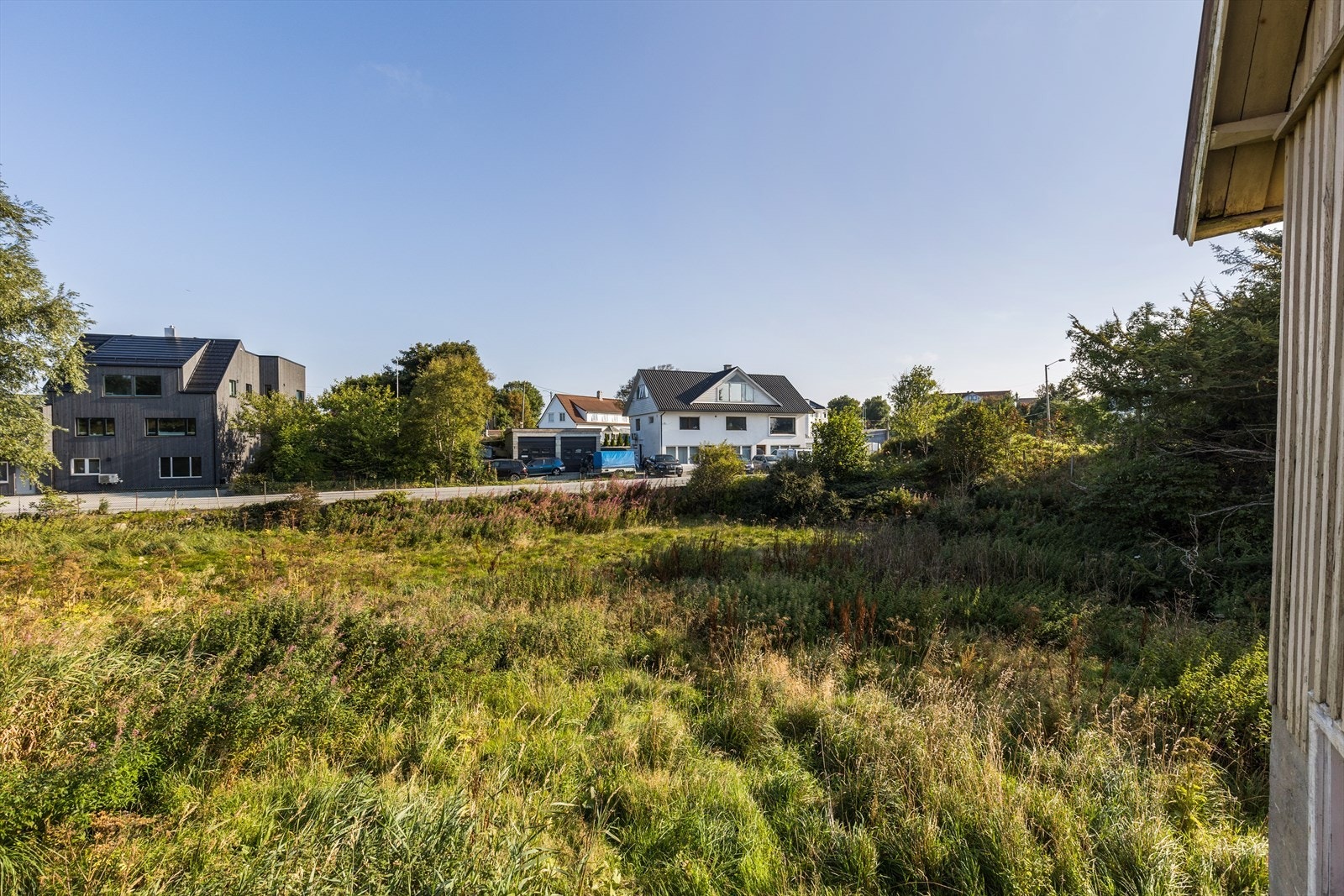 Nærområde Galleribilde