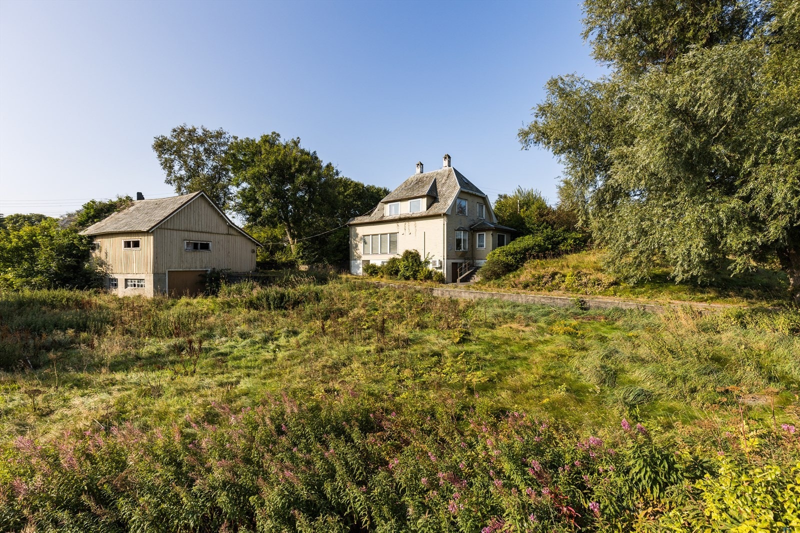 Nærområde Galleribilde