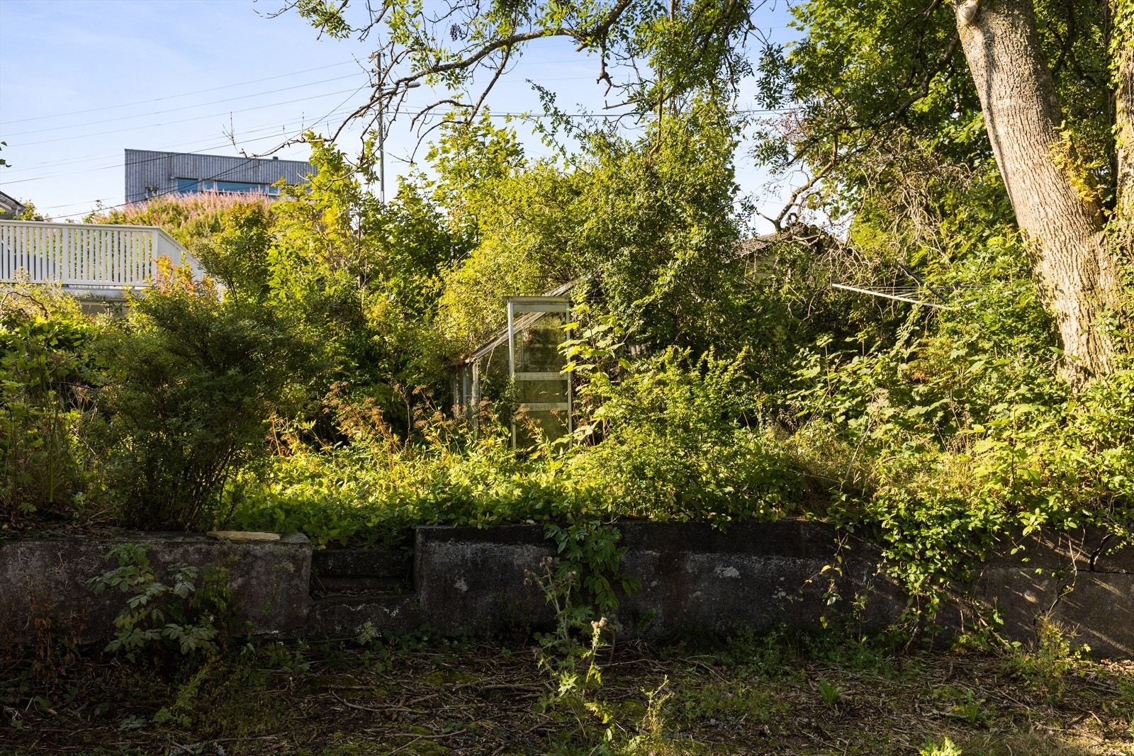 Nærområde Galleribilde