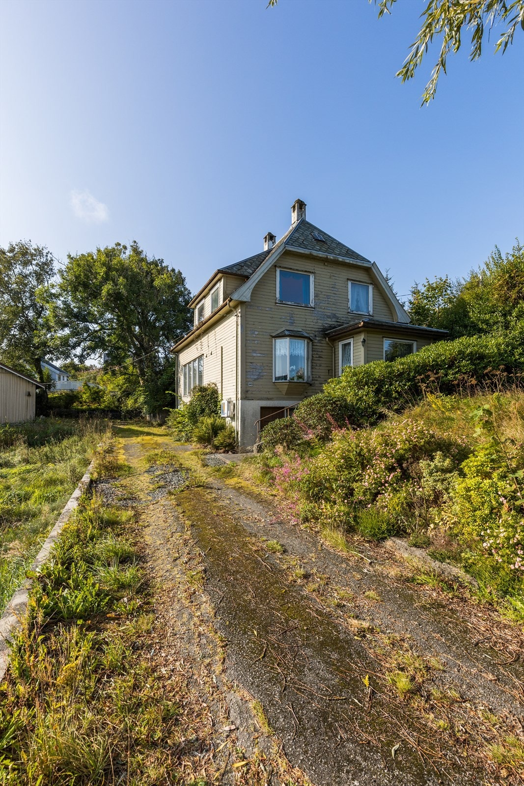 Nærområde Galleribilde