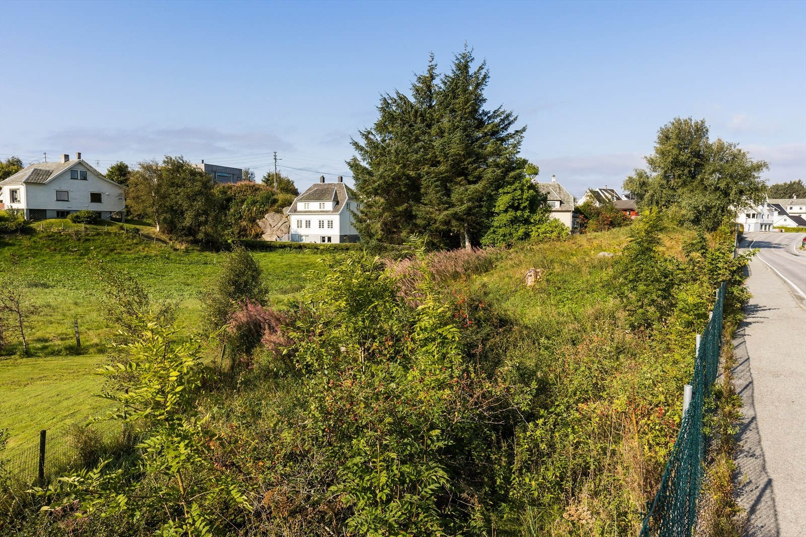 Nærområde Galleribilde