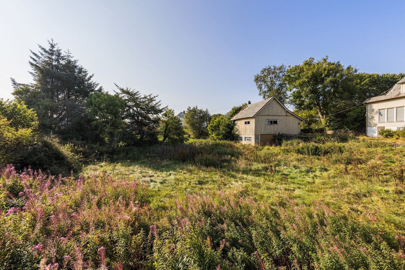 Nærområde Galleribilde