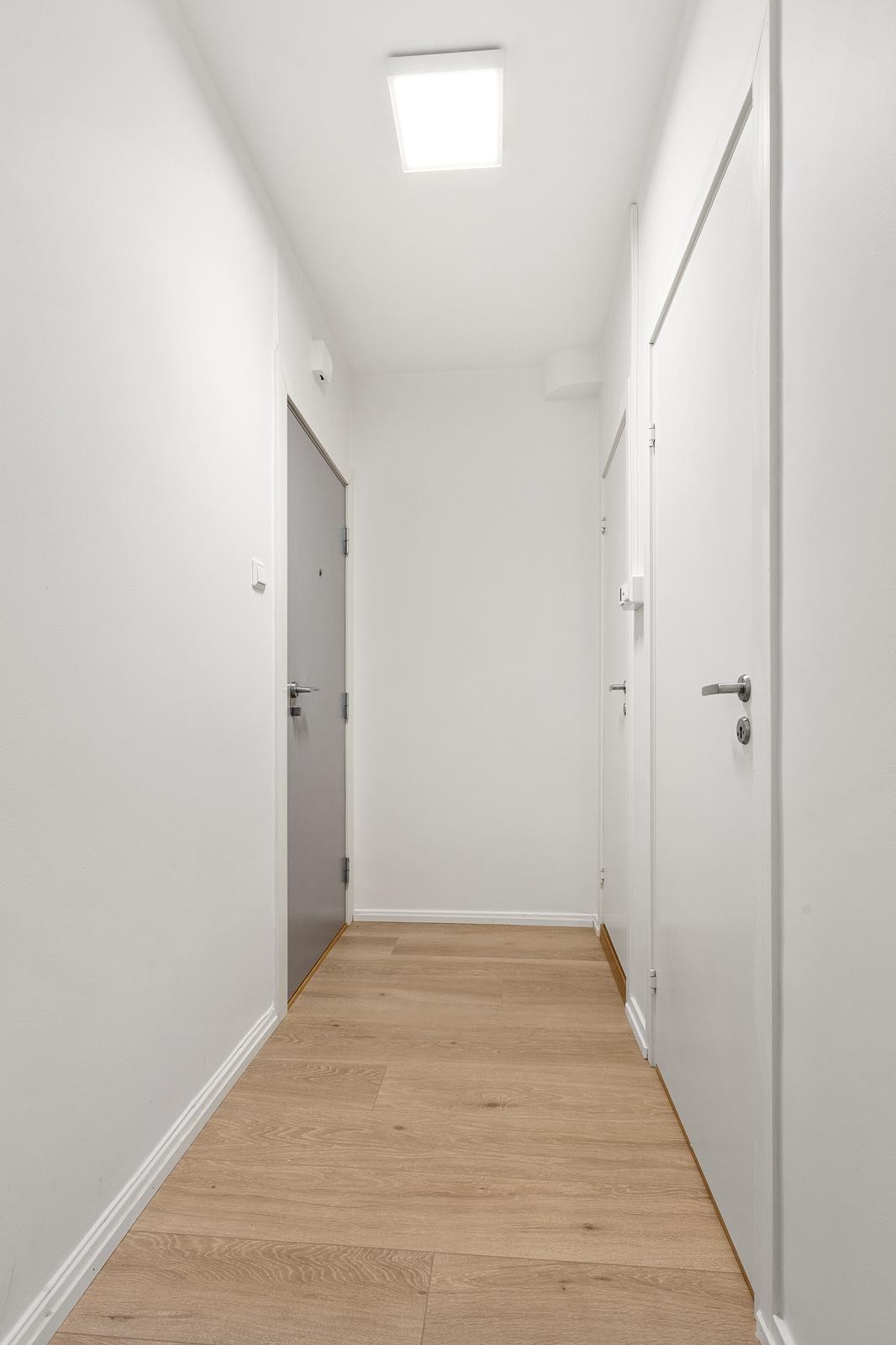 Entré som leder inn til bad og stue. Galleribilde