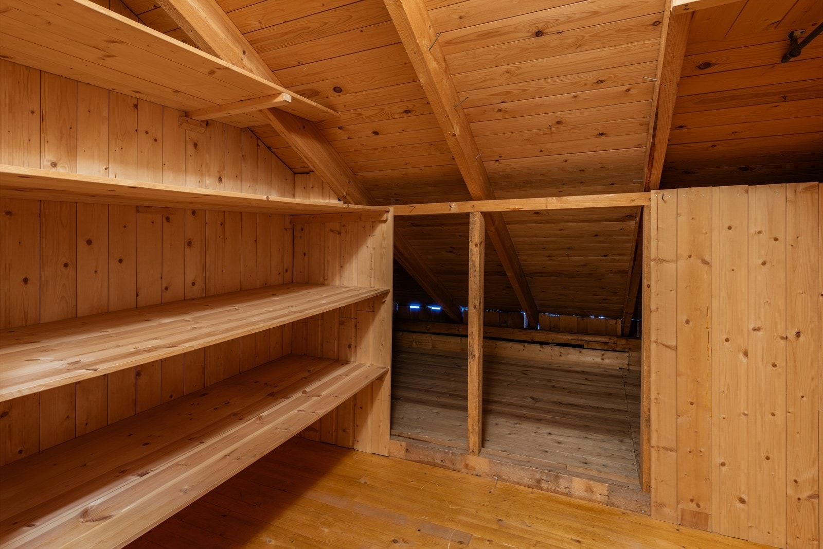 Bod/kott Galleribilde