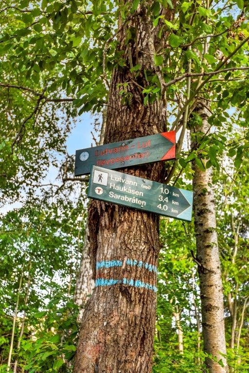 Her bor du med nærhet til Østmarka og Lutvann med unike tur- og rekreasjonsmuligheter hele året; bade -og fiskevann, kajakkpadling, samt turstier og lysløyper Galleribilde