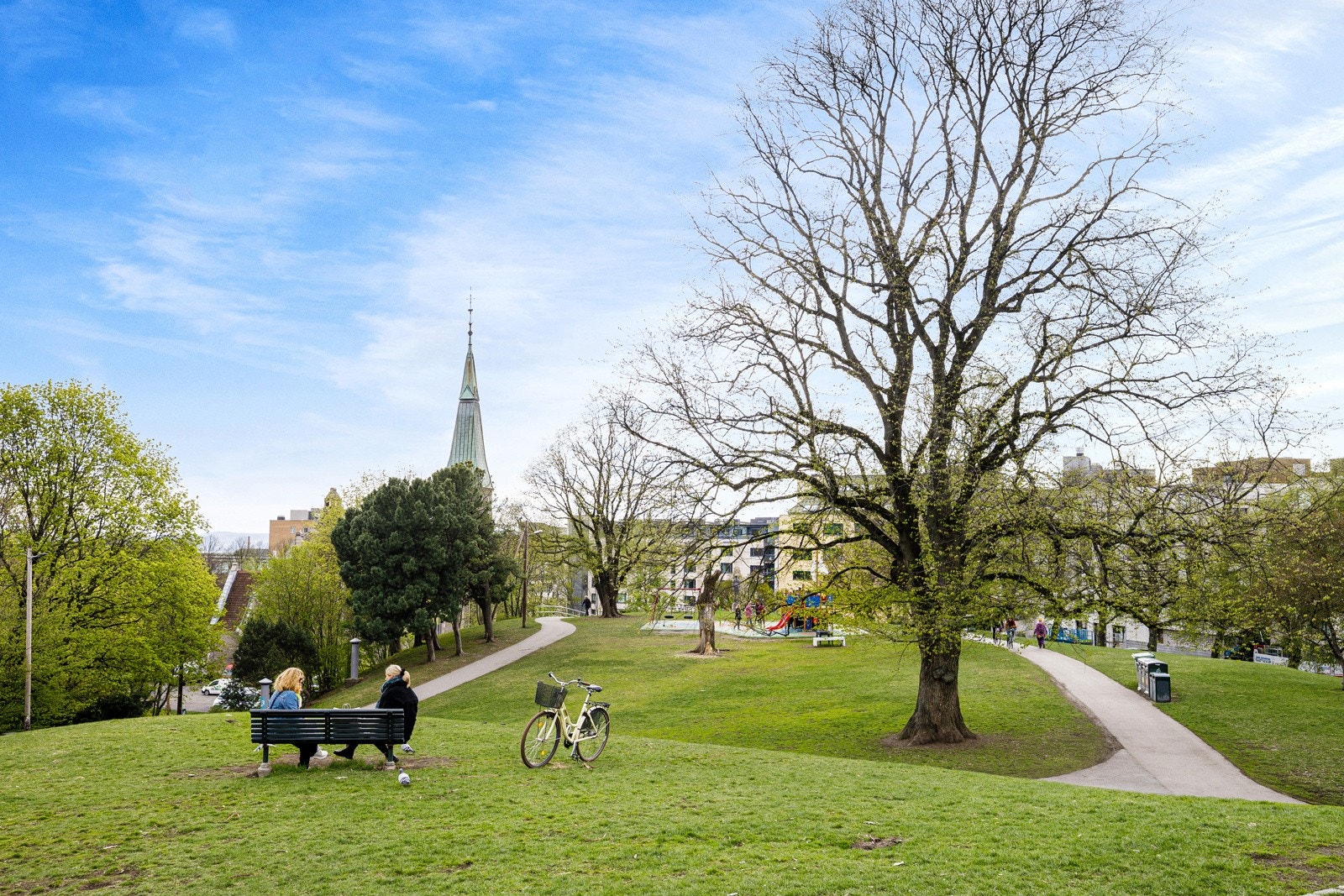 Nærområdet. Galleribilde