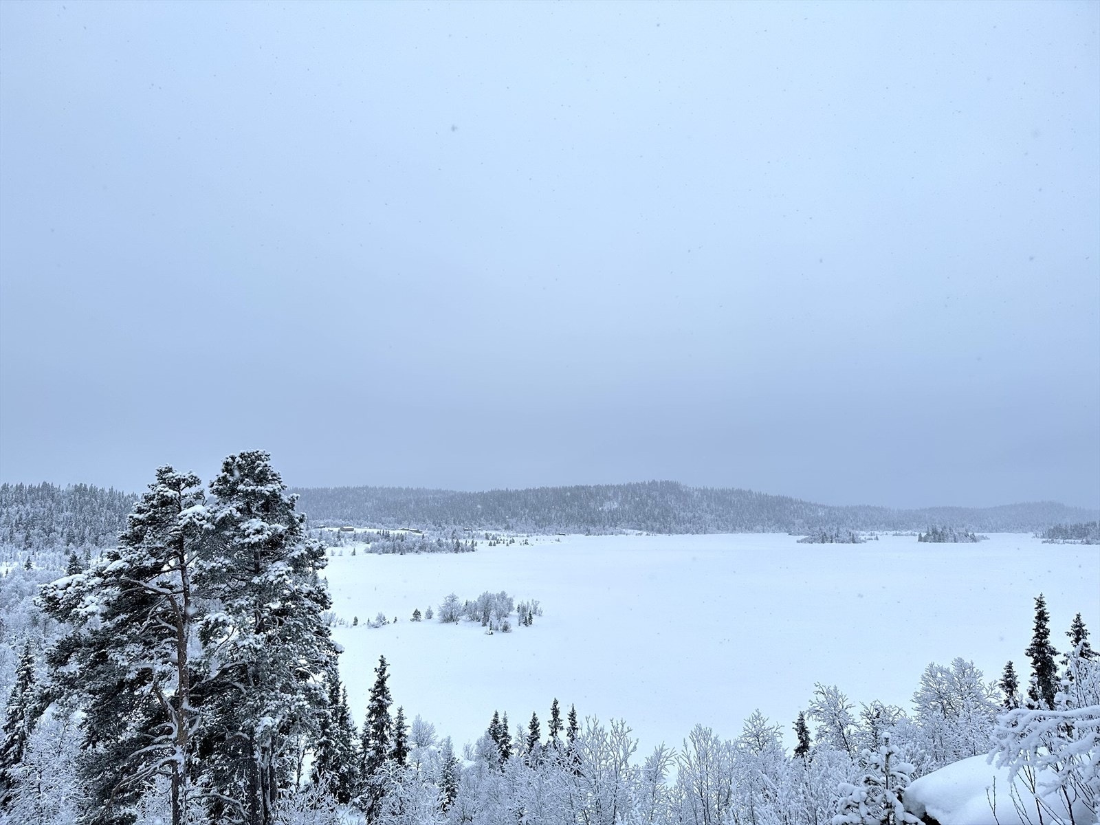 Fra hytta er det flott utsikt utover Øyangen! Galleribilde