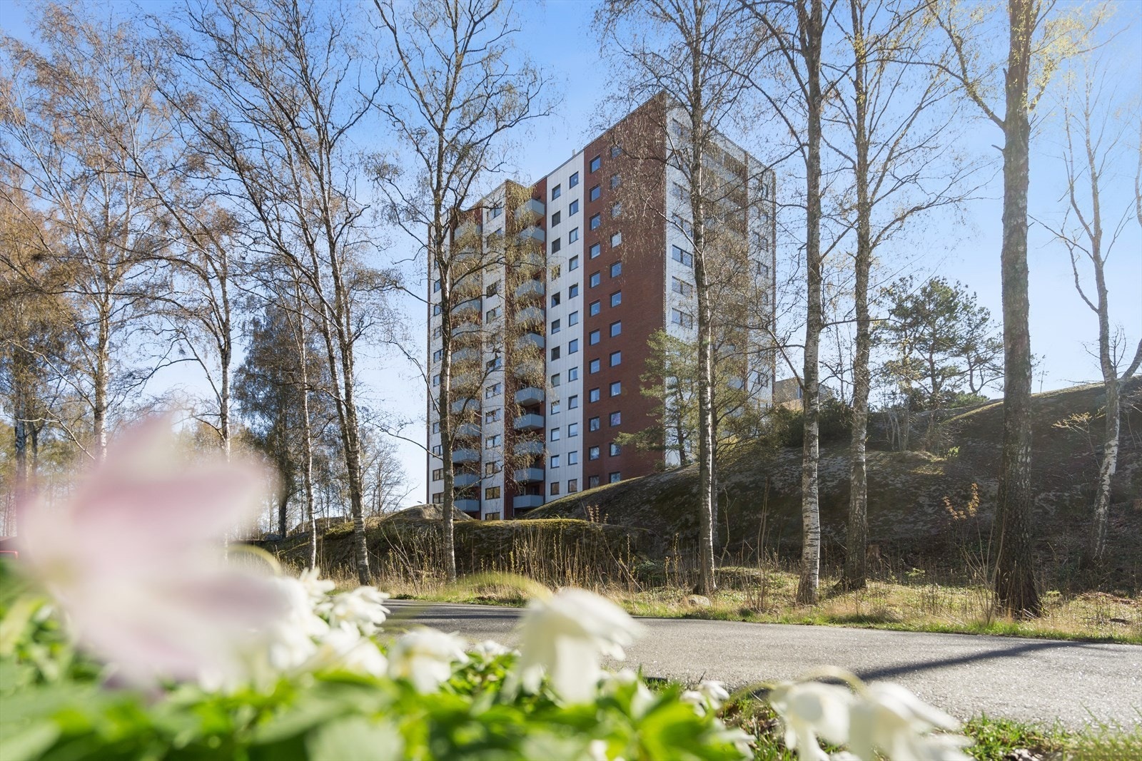På Sjøstrand 9 er det god boligtrivsel og suverene vaktmestertjenester Galleribilde