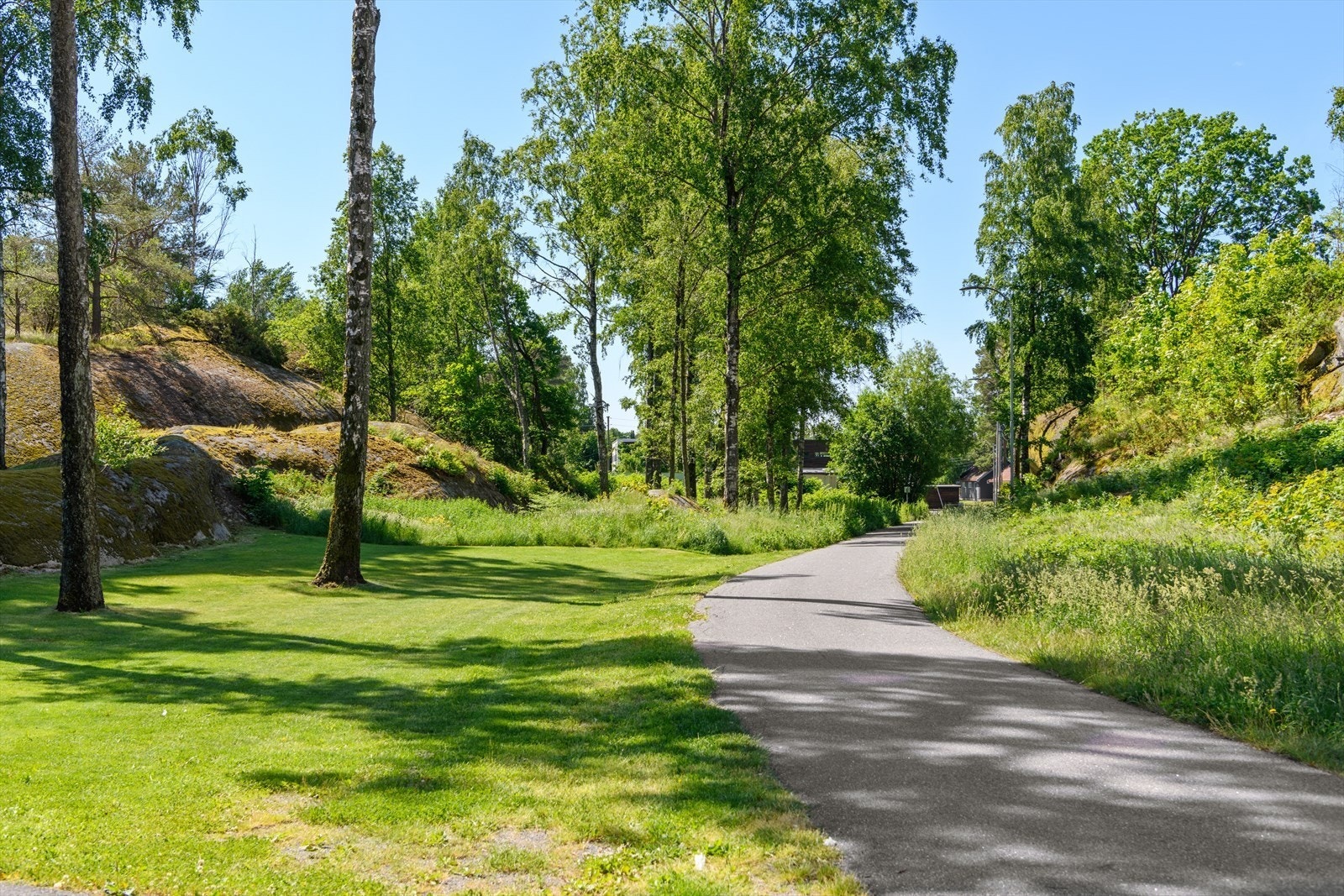 Flotte turområder utenfor døren Galleribilde