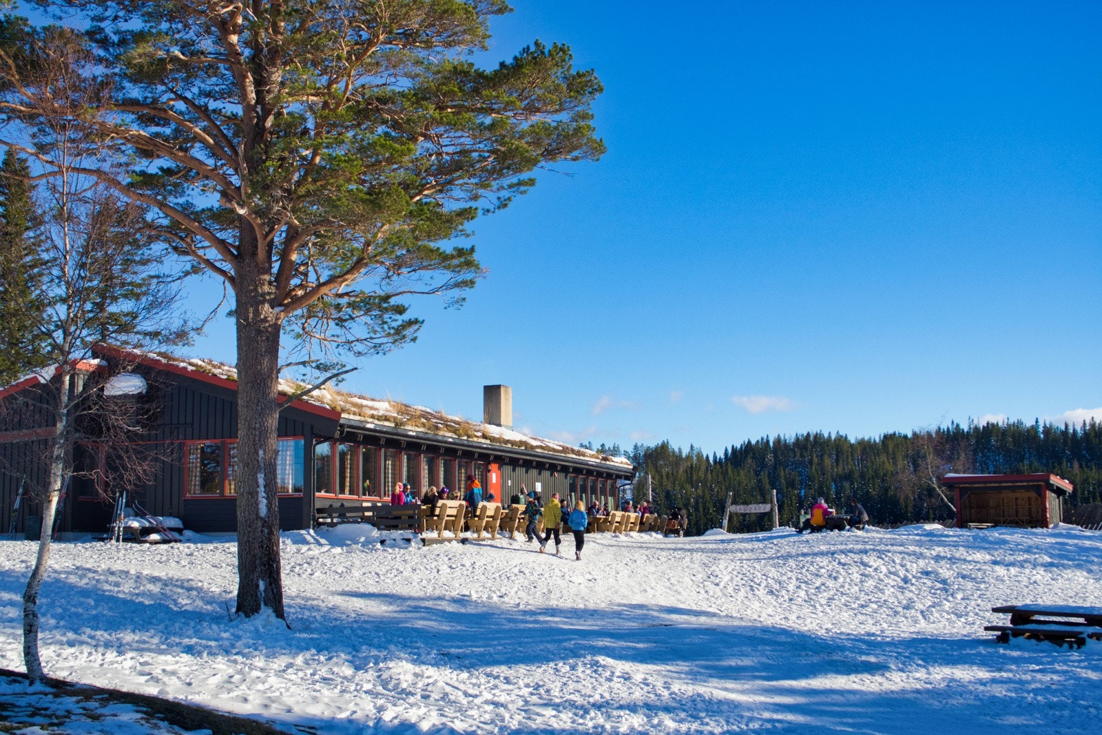 Estenstadhytta er et populært turmål for mange etter fine turer i Estenstadmarka. Her serveres rykende ferske kanelboller og varm kaffe. Galleribilde