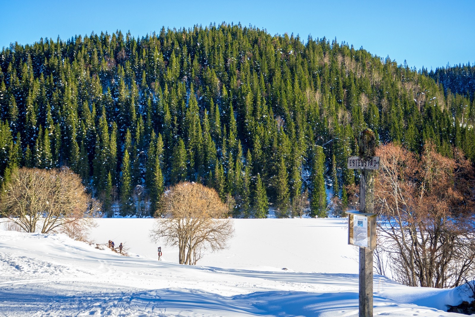 Estenstadmarka ligger i kort avstand fra leiligheten, og har et rikt utfartstilbud, både sommer som vinter. Galleribilde