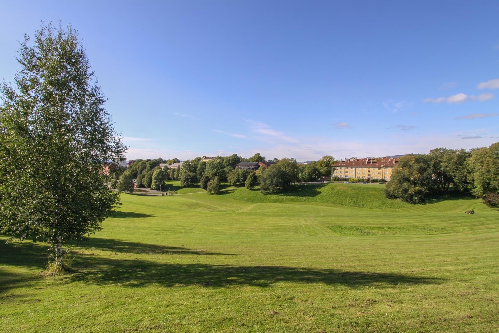 Torshovdalen er ikke langt unna. Galleribilde