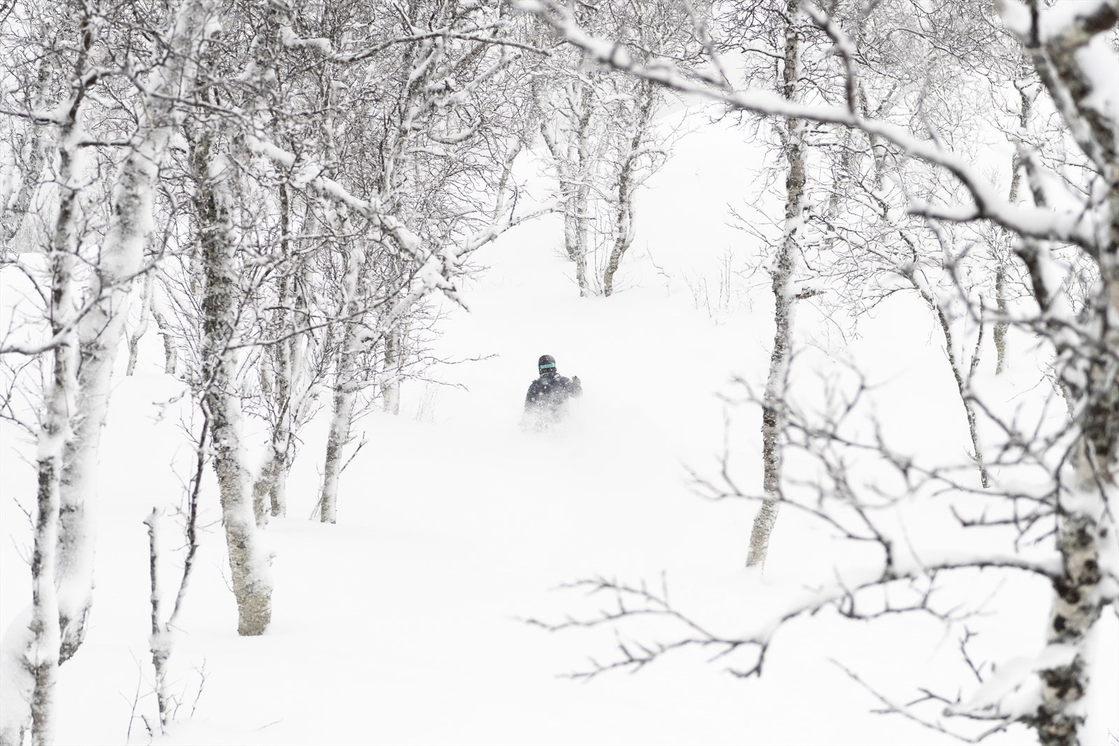 Pudderdag i Gummiskogen. Foto SkiStar Hemsedal. Galleribilde