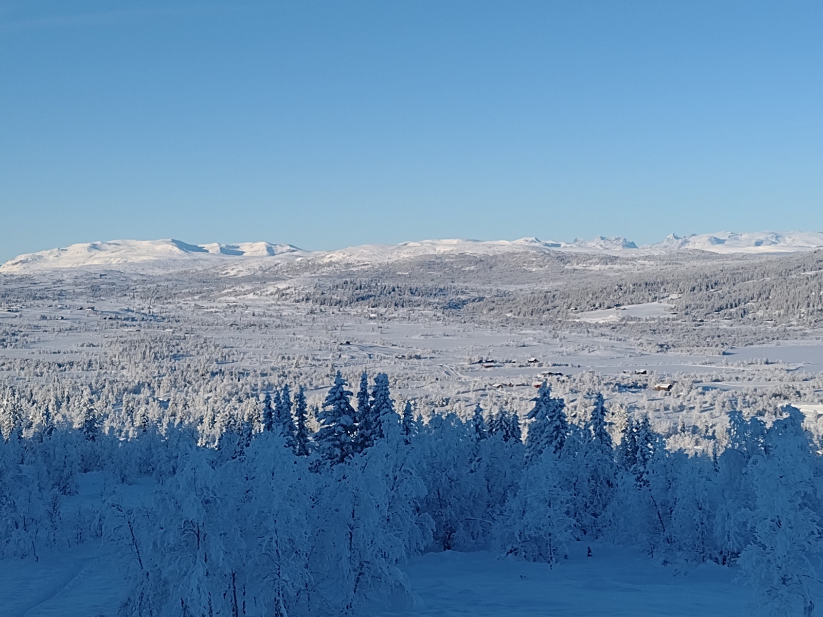 Fantastisk utsikt! Galleribilde