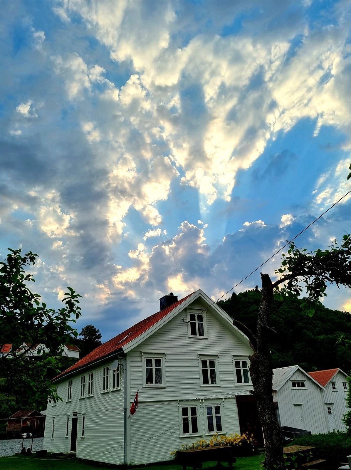 Privat bilde Galleribilde