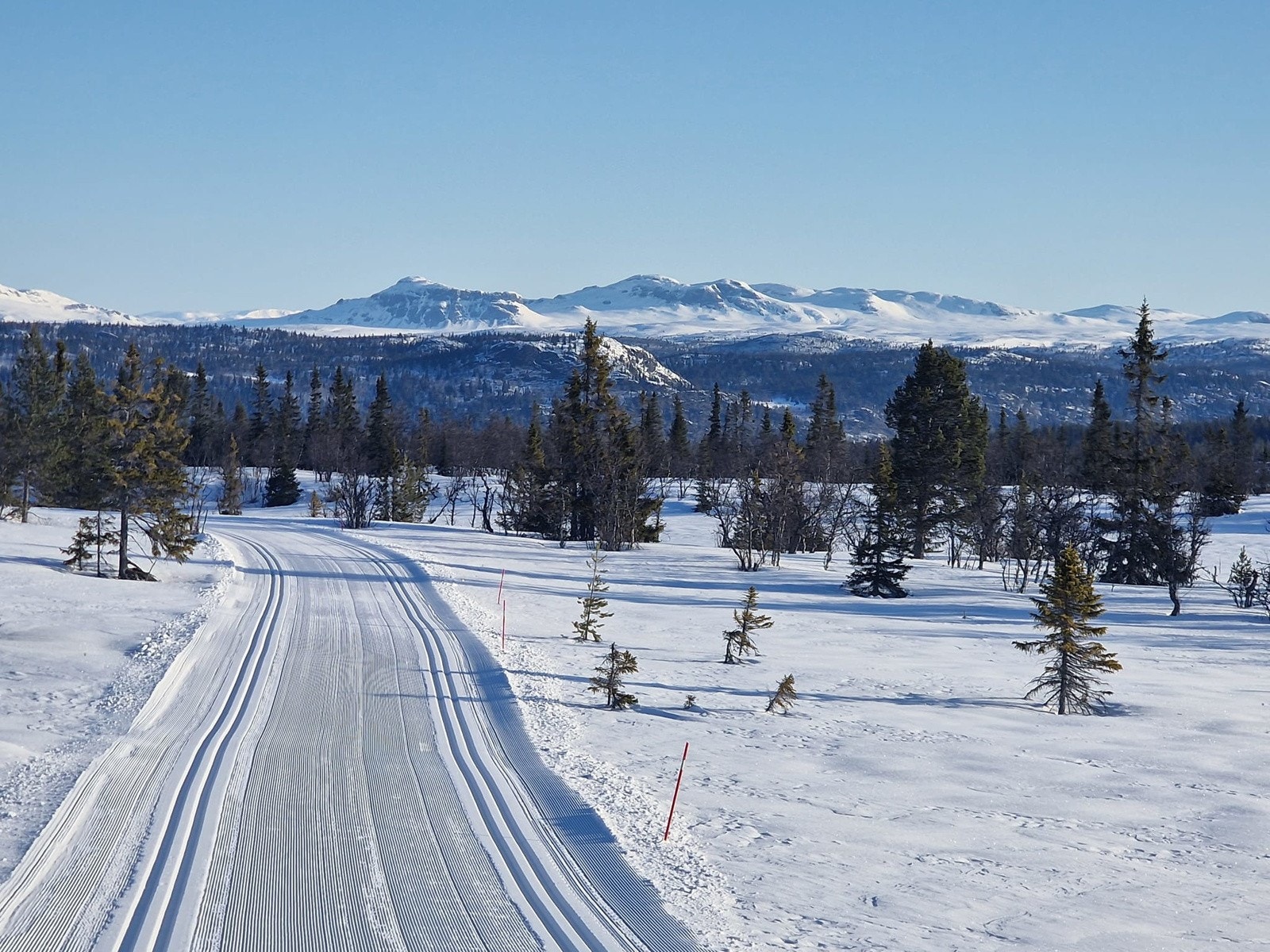 Dette er så attraktivt område at Hallingspretten siden 2015 har arrangert skirenn fra Geilo, gjennom Sangefjell og til Hallingdal Feriepark på Ål. Galleribilde