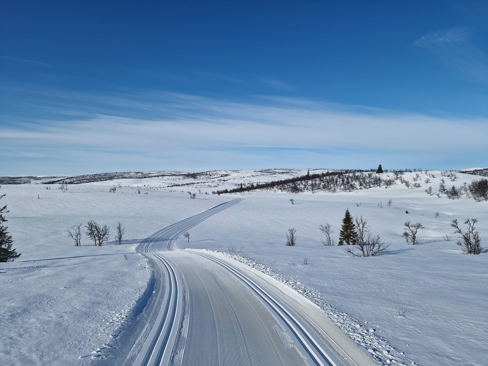 Når snødekket legger seg kan man benytte seg av preparerte langrennsløyper like i nærheten. Galleribilde