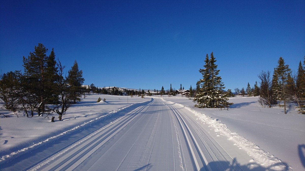 Vinterparadis! Bilder fra Sangefjell Løypelag. Galleribilde