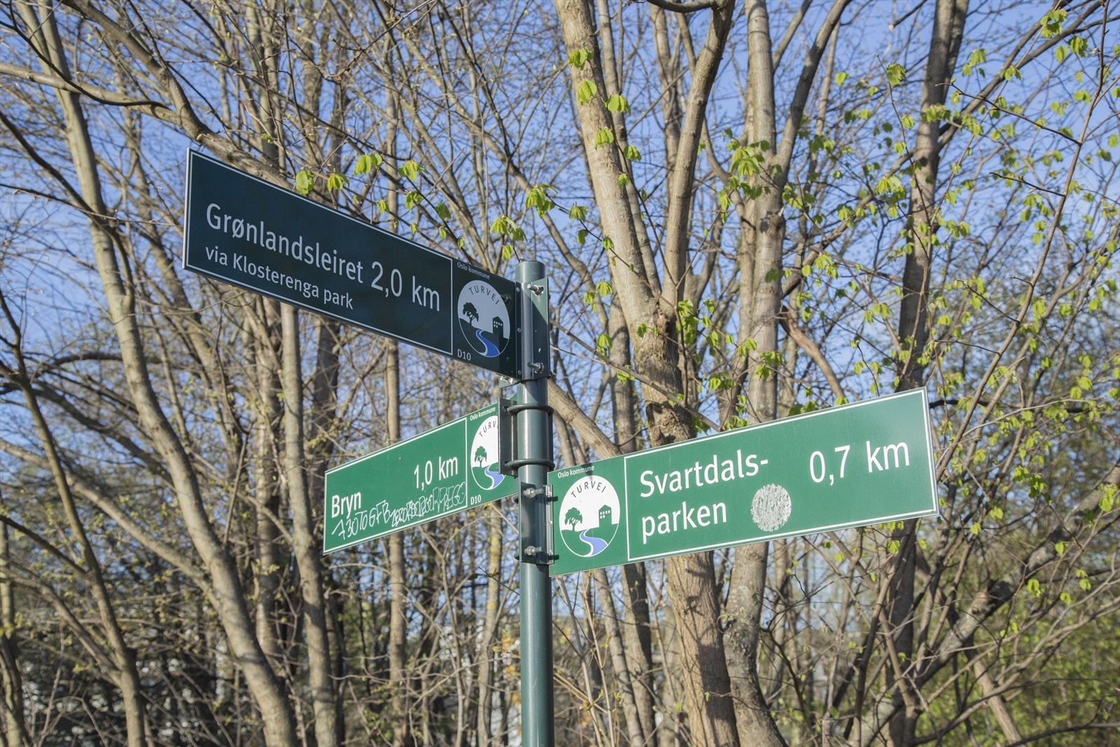 Turmuligheter i området Galleribilde