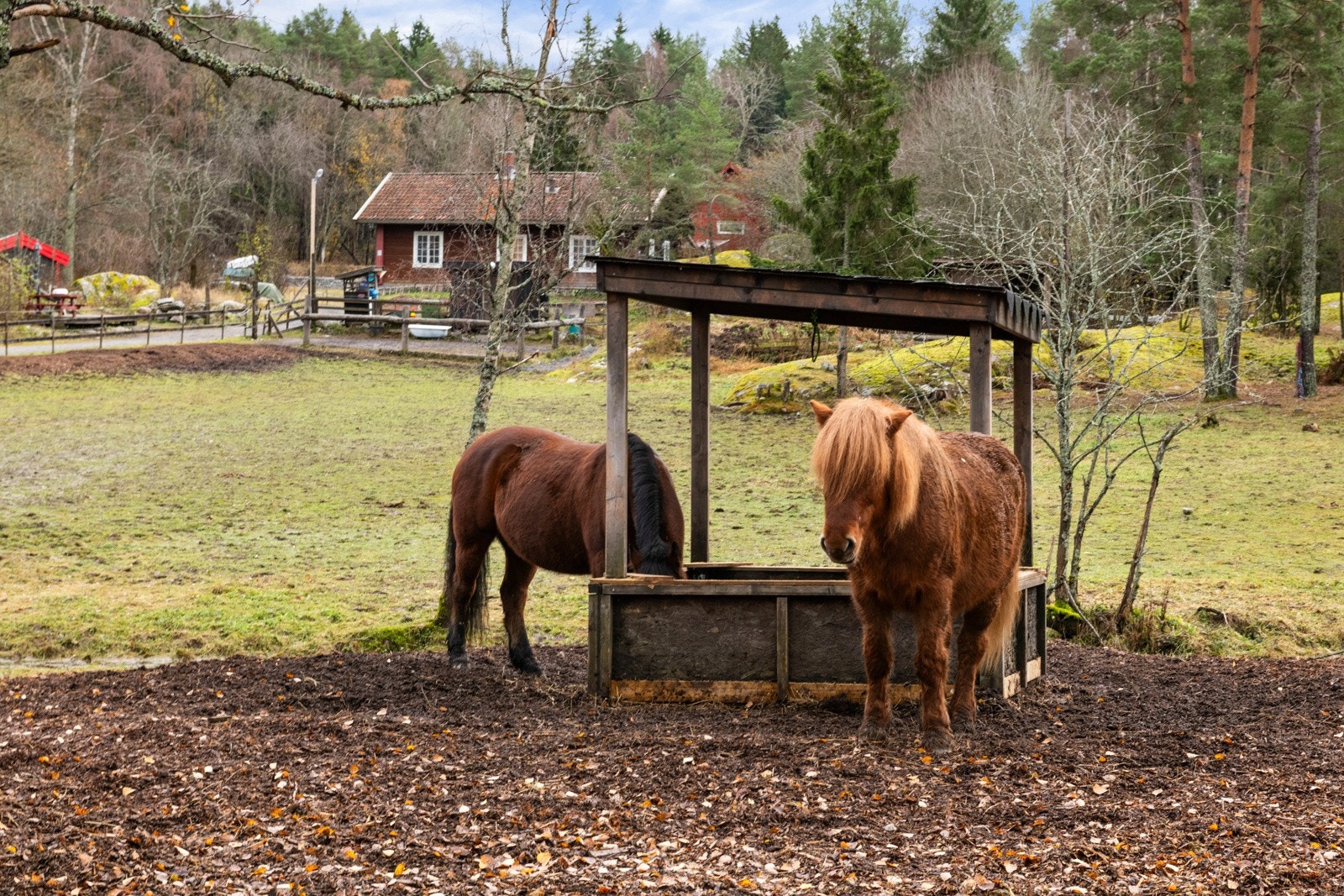 Burud gård, en av de gamle Akergårdene, er nabo til borettslaget og ligger rett ved lysløypa. Galleribilde