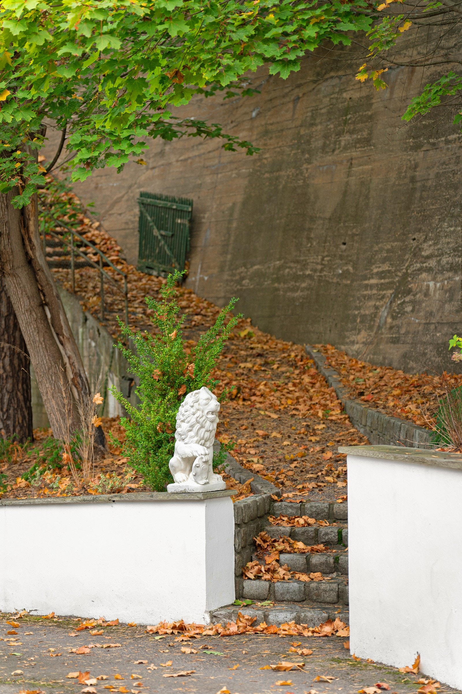 Trapp opp fra eiendommen Galleribilde