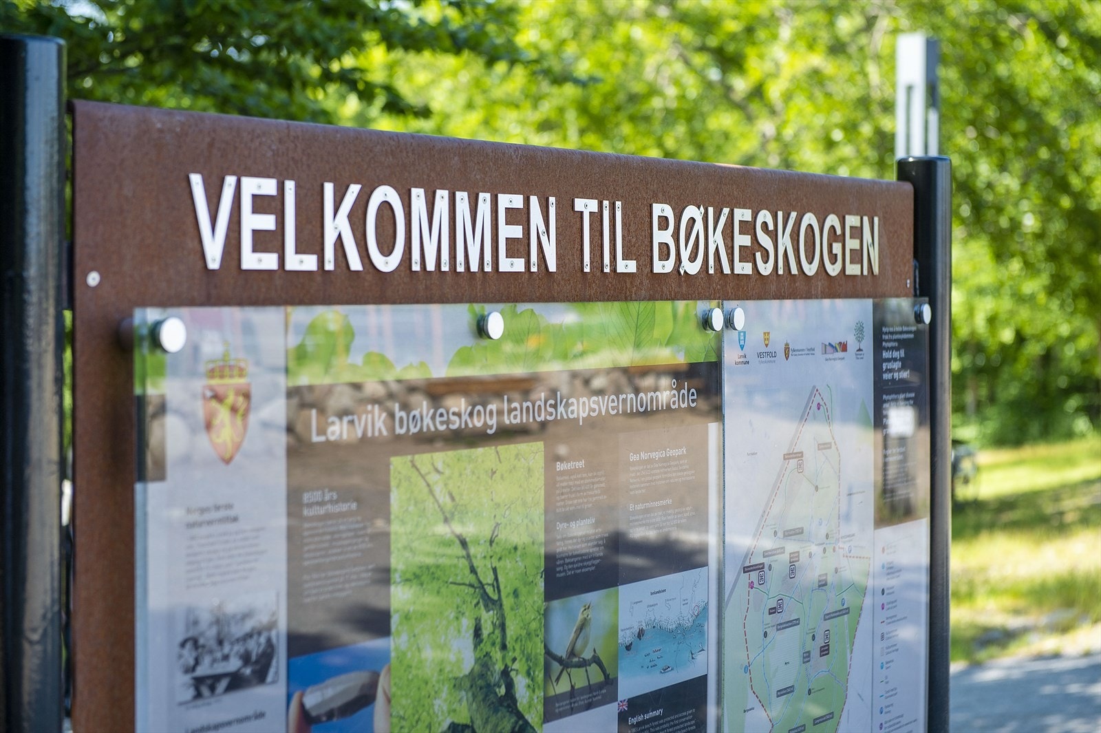 Nærområde Bøkeskogen Galleribilde