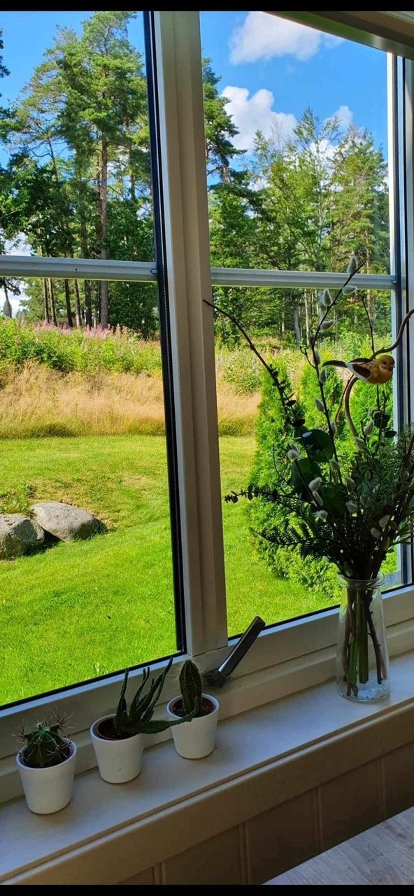 Selgers private bilder: Beliggenheten er naturnær og barnevennlig, med nærhet til turområder og lekeplasser. Galleribilde