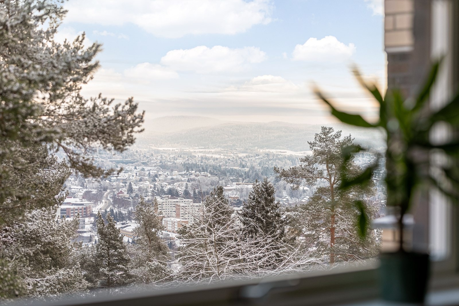 Hyggelig utsikt! Galleribilde