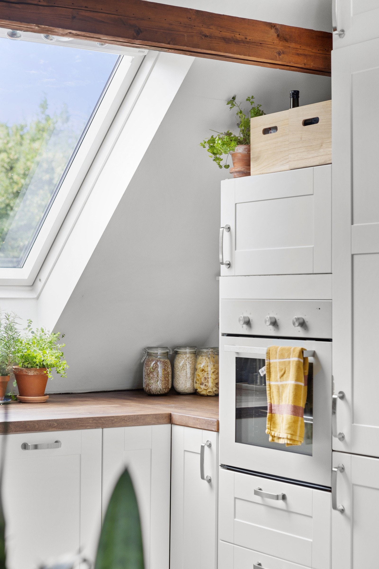 - Kjøkkenet er utstyrt med integrerte hvitevarer som kjøleskap med frysedel, oppvaskmaskin, opphøyd stekeovn og nedfelt platetopp (ny i 2023), samt takhengt ventilator - Galleribilde