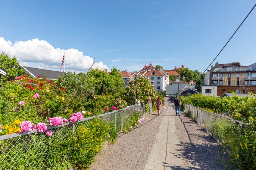 - Idylliske Rodeløkkens Kolonihager er en av gårdens nærmeste naboer - Galleribilde