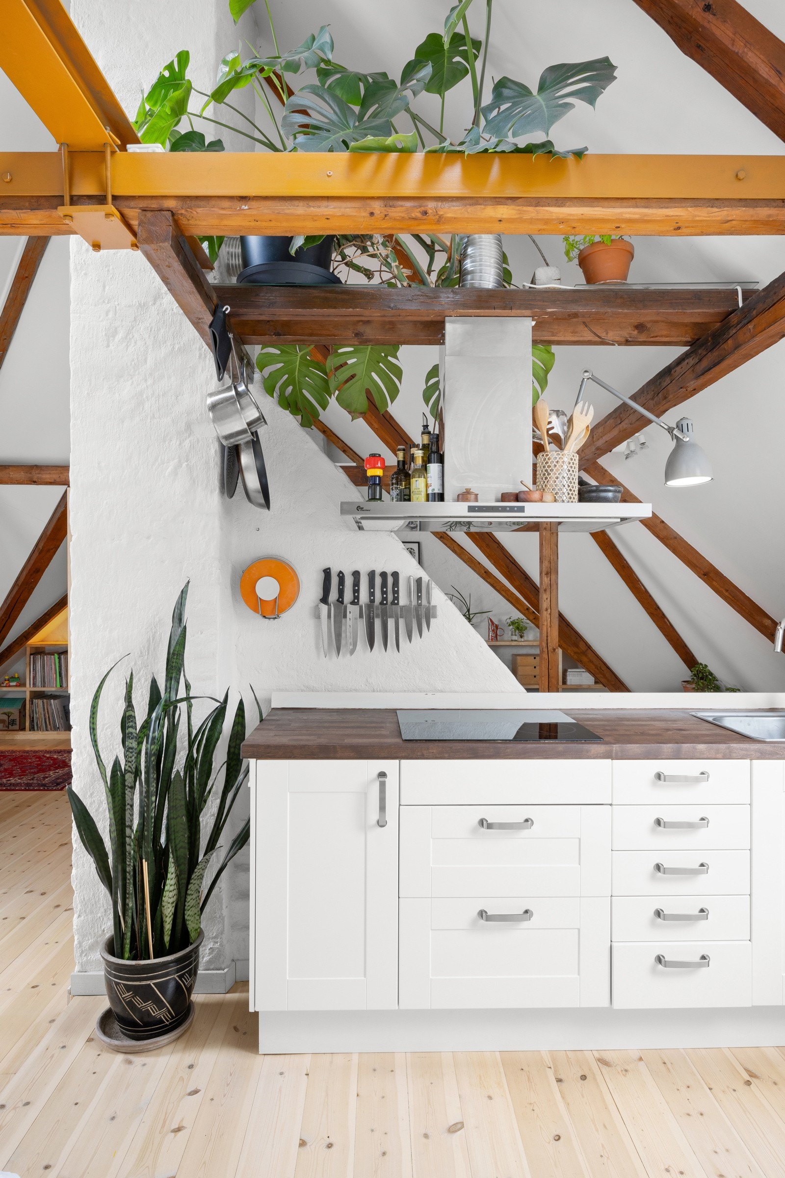 - Kjøkken - Galleribilde