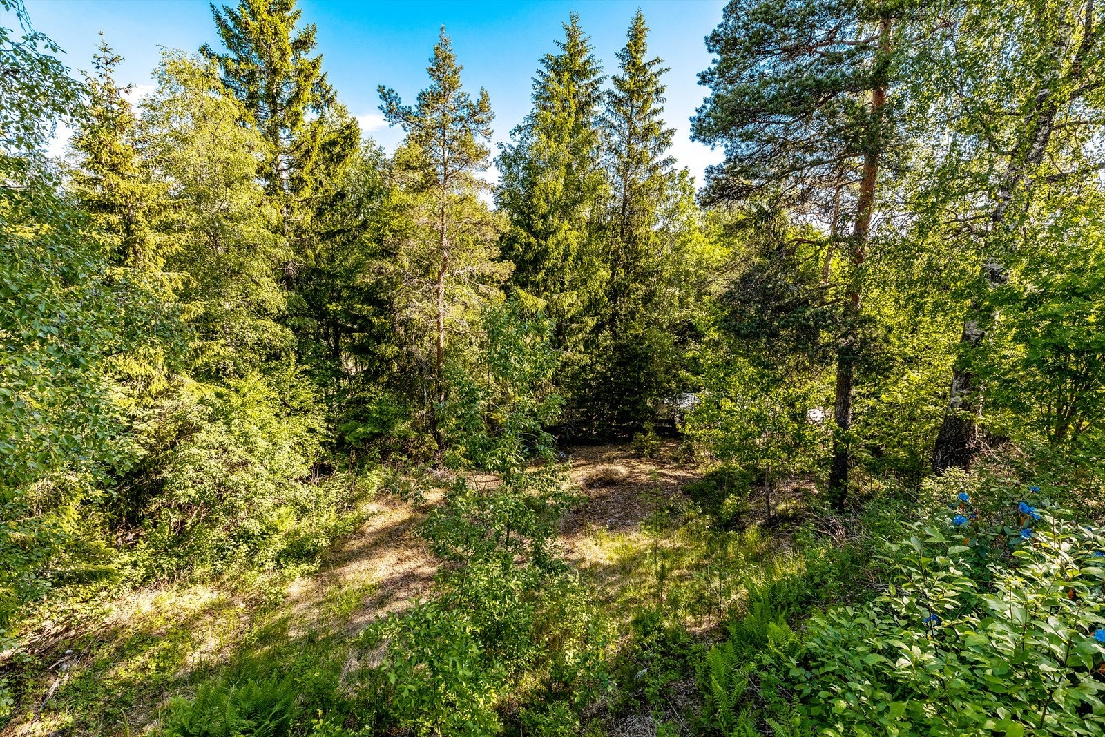 Tomten på nedsiden følger også eiendommen. Her er det et parti som er ganske flatt. Galleribilde