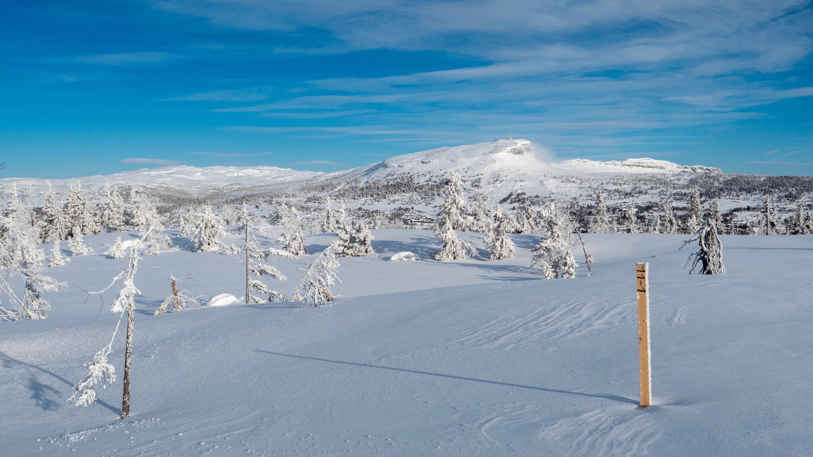 Bilde fra tomte området. Foto: Jon Gunnar Henriksen Galleribilde