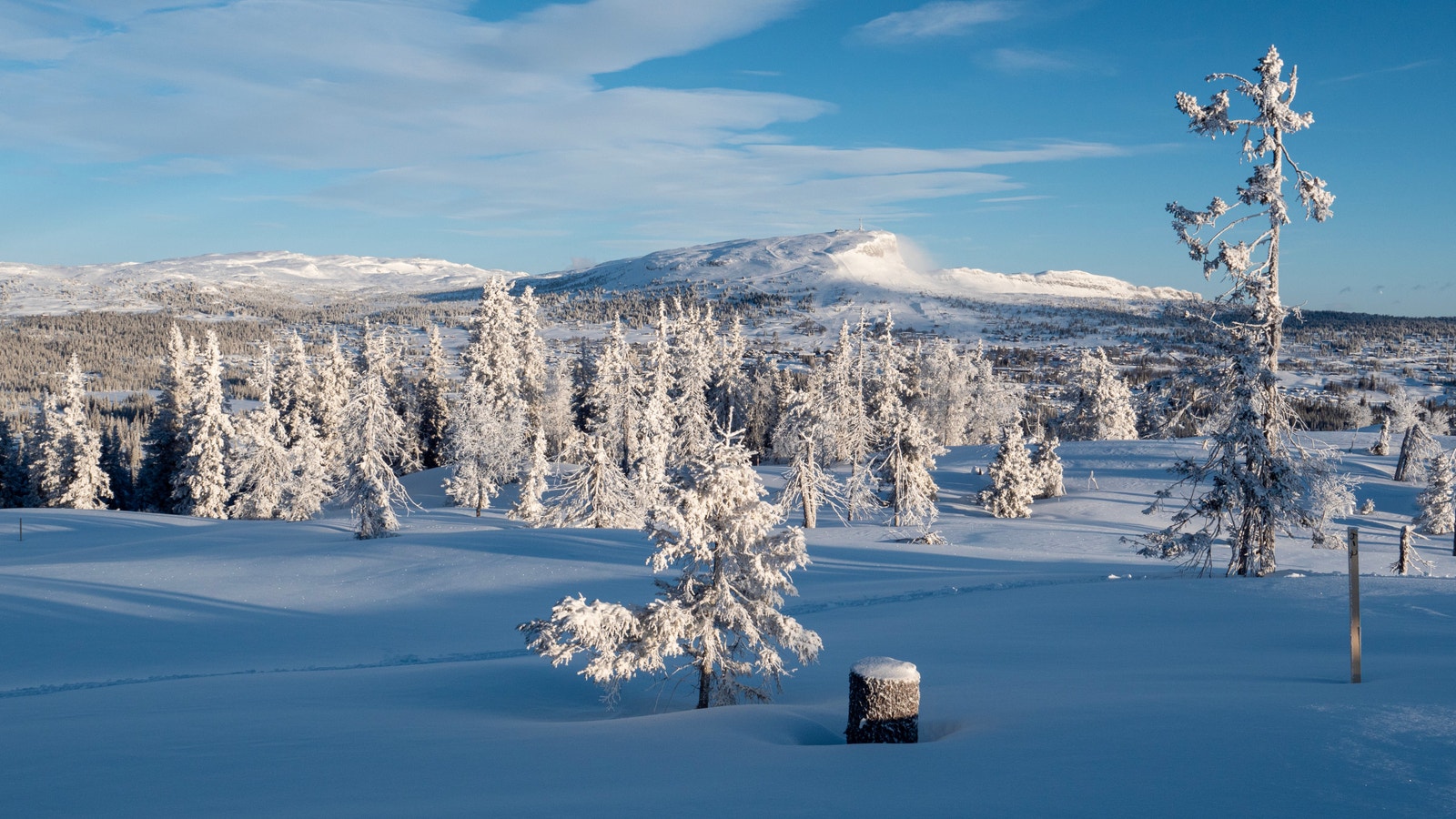 Bilde fra tomte området. Foto: Jon Gunnar Henriksen Galleribilde