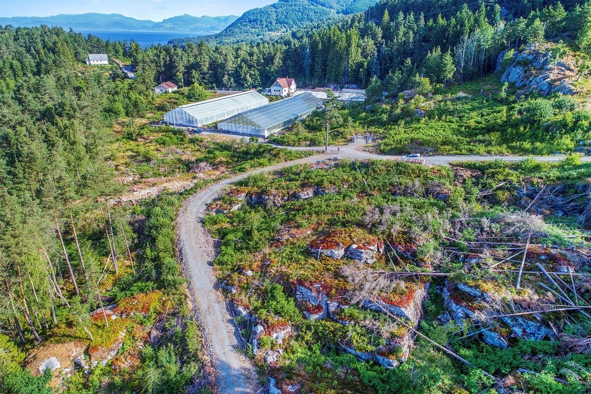 Man har parkeringsplass til to biler på felles oppstillingsplass. Galleribilde
