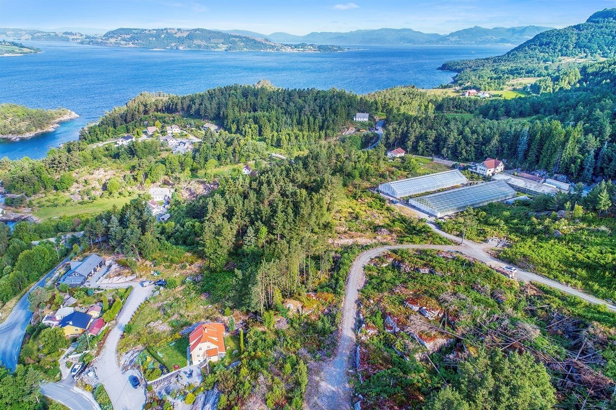 Her kan du bygge din nye drømmehytte! Galleribilde