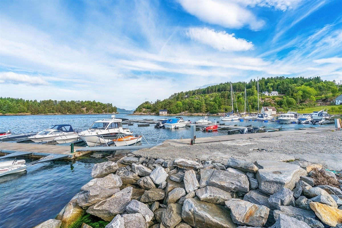 Båthavn. Galleribilde