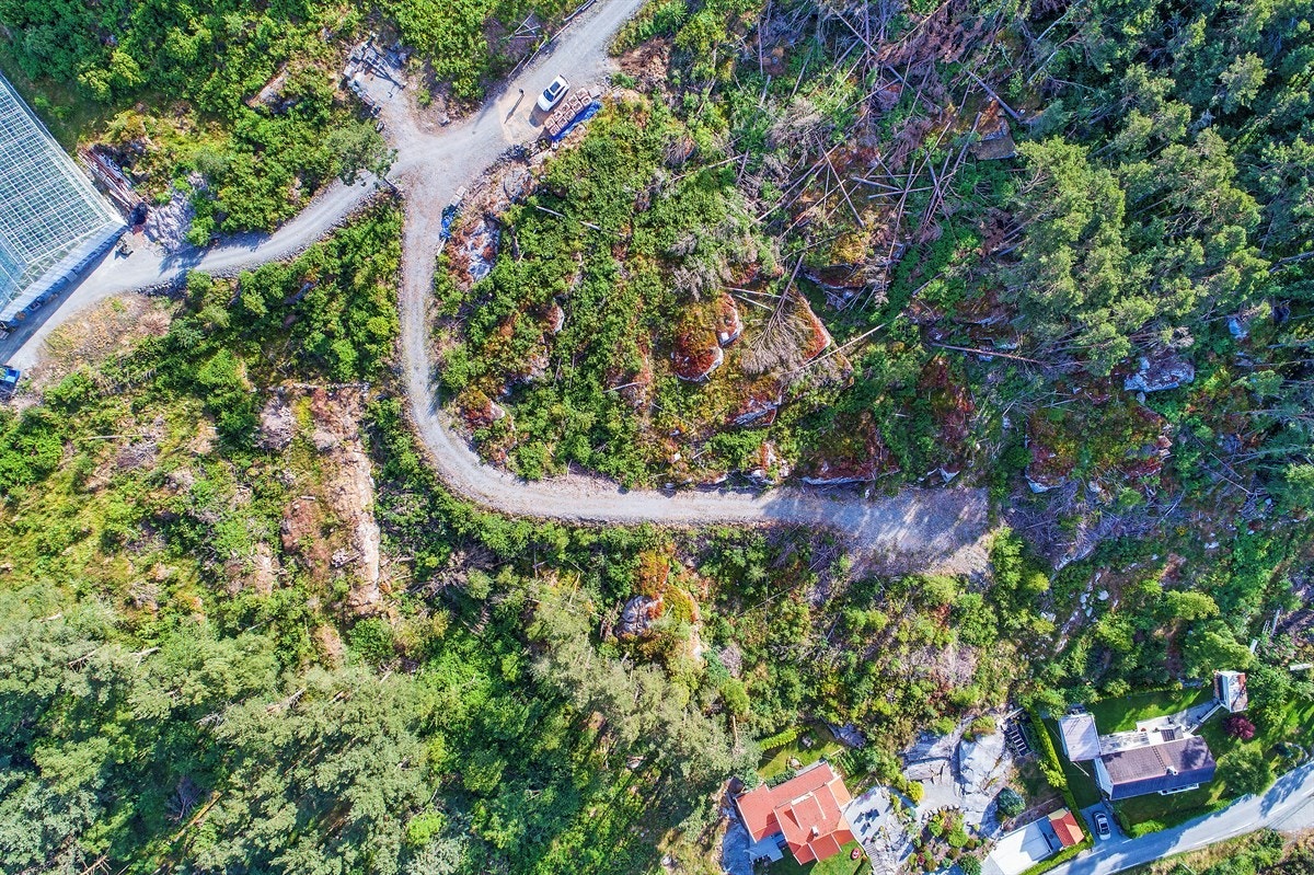 Bilde tatt fra luften. Galleribilde