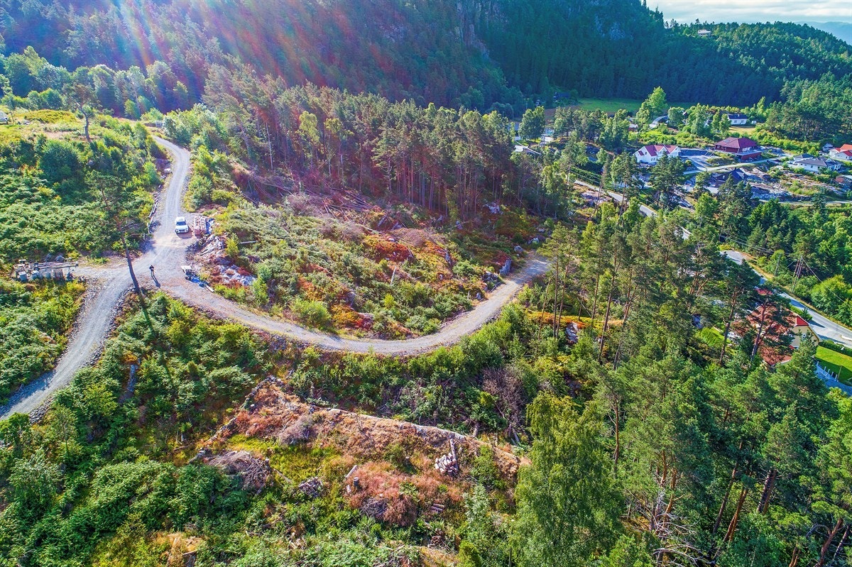 Bilde tatt fra luften. Galleribilde