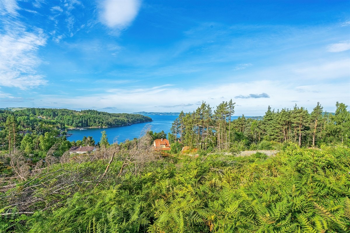 Utsikt. Galleribilde