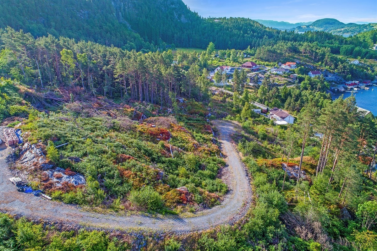Man har enkel adkomst til tomten via grusvei. Galleribilde