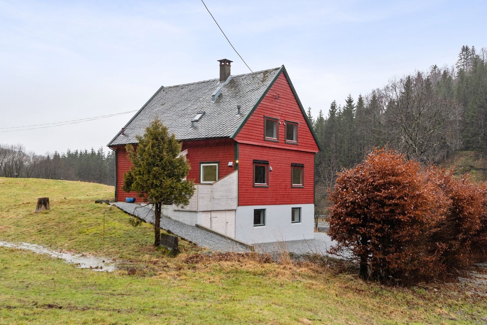 Tomt Galleribilde