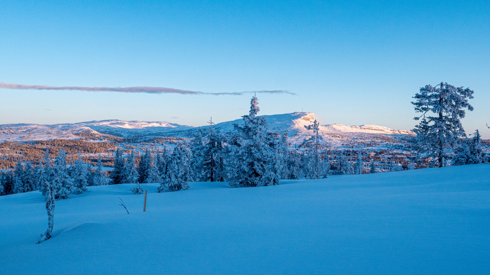 Bilde fra tomte området. Foto: Jon Gunnar Henriksen Galleribilde