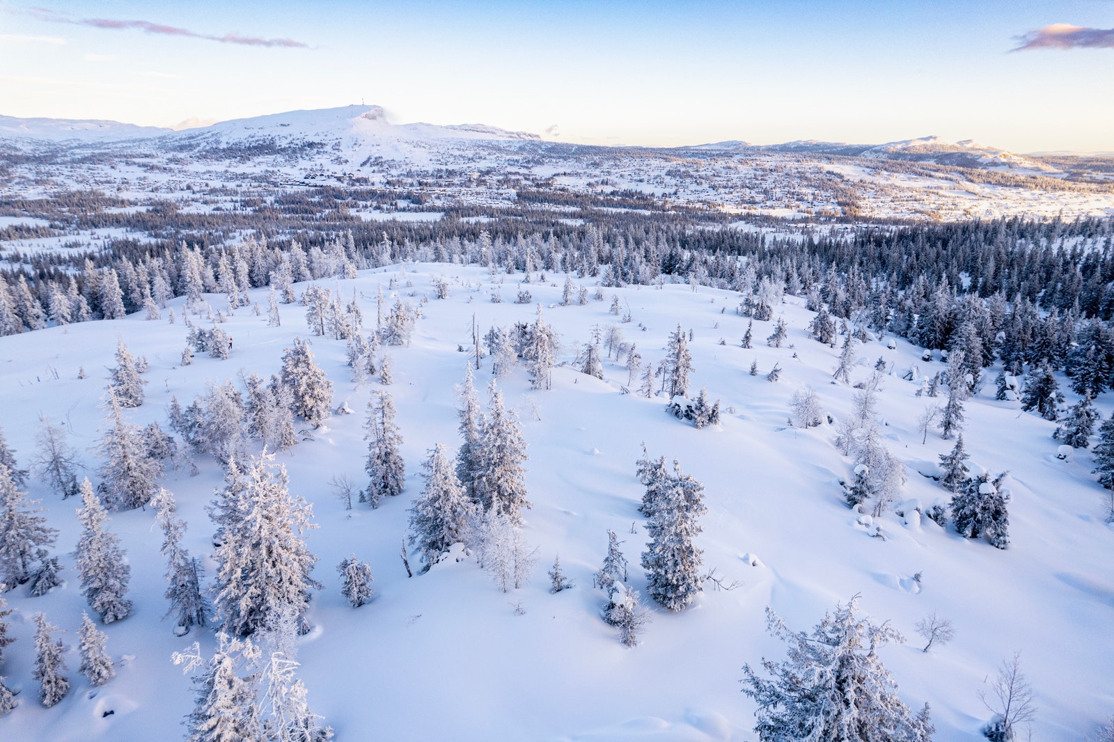 Bilde fra tomte området. Foto: Jon Gunnar Henriksen Galleribilde