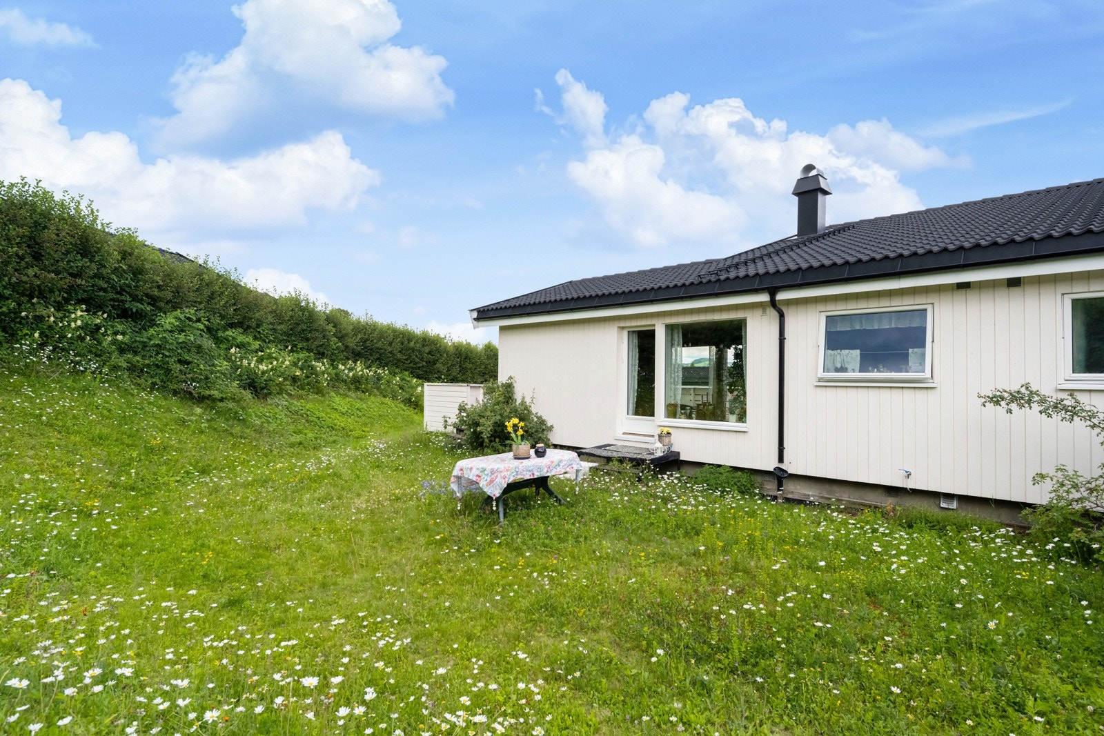 Sommerbilde. Galleribilde
