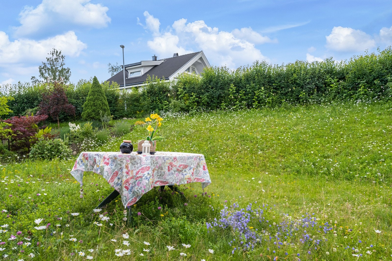 Sommerbilde. Galleribilde