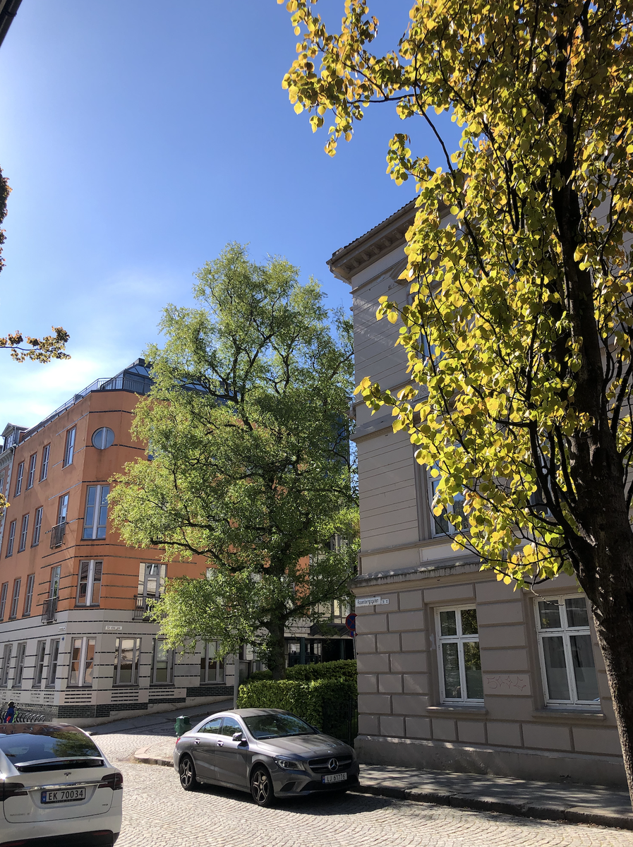 Utsikt fra inngangsparti (1 etg) Galleribilde