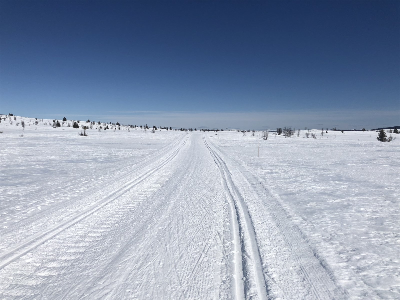 Snøsikkert område. Galleribilde